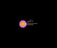 Unconscious Connections Therapy Services