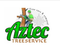 Burlington Tree Services