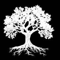 Aces Tree Service