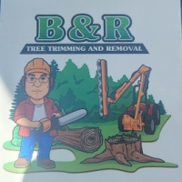 B & R Tree Trimming and Removal