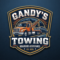 TNT Road Rescue LLC provides fast, reliable, and professional roadside.