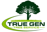 True Gen Tree