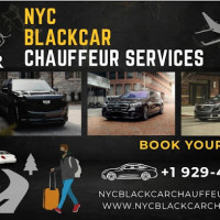 Safe & Comfortable Prom Van Service