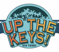 Up the keys tours LLC