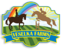 Veselka Farms – Equine Therapy, Wellness Retreats & Equestrian Training in Ohio