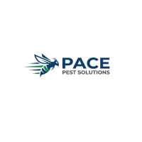 Pace Pest Solutions Inc
