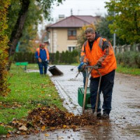 вывоз мусора