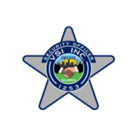 Villarreal Security Investigations