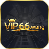 vip66wang