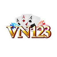 VN123