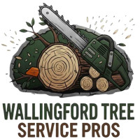 Wallingford Tree Service Pros