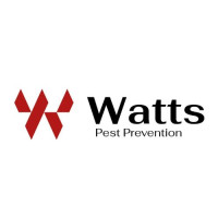 Protect Your Phoenix Home with Expert Termite Control Services