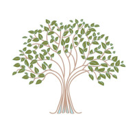 Wellspring Tree Care
