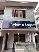 What a Scape - Your Premier Aquarium Store in Indiranagar, Bangalore