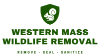 Western Mass Wildlife Removal