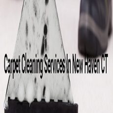 Carpet Cleaning New Haven