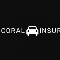 Best Cape Coral Auto Insurance