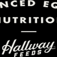 Best Horse Feed