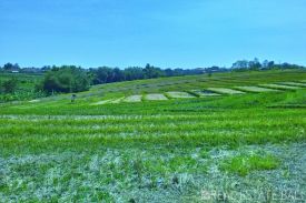 PT. REAL ESTATE BALI