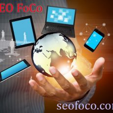 SEO Fort Collins