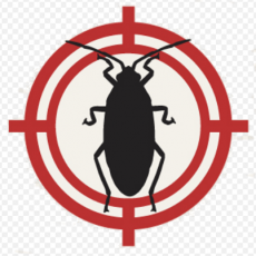 Local Pest Control Seminole