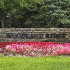 Woodland Ridge
