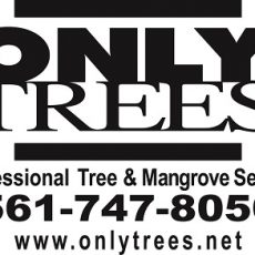 Only Trees