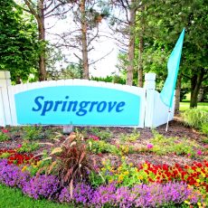 Springrove