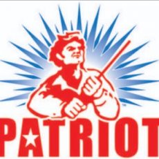 Patriot Pressure Washing and Roof Cleaning