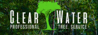 Clearwater Tree Service Pros