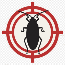 Local Pest Control Dunedin