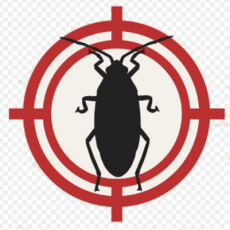 Local Pest Control Pinellas Park