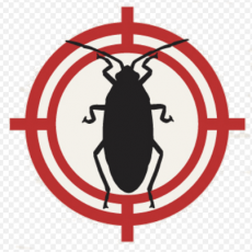 Local Pest Control Largo