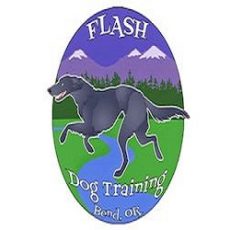 Flash Dog Training