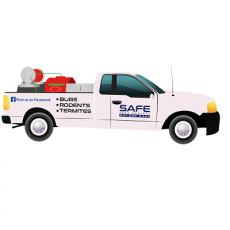 Safe Termite & Pest Control