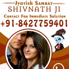 Vashikaran Specialist Pandit