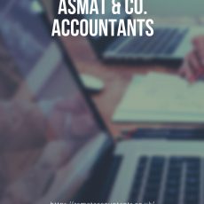 Representative Overseas Business visa accountant Iver