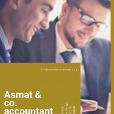 Representative Overseas Business visa accountant Langley