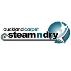Auckland Carpet Steam 'n' Dry