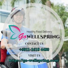 GoWellspring