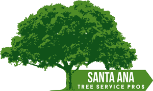 Santa Ana Tree Service Pros
