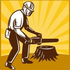 EULESS TREE SERVICE COMPANY