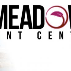 Meadows Event Center, LLC