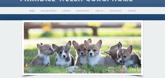 Paradise Welsh Corgi Home