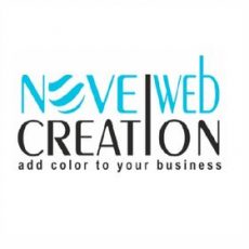 Website development company in Jaipur