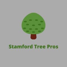 Stamford Tree Pros