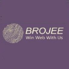 Web Development Company in Bhopal