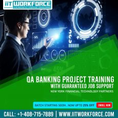 QA Real-time Project Workshop on Banking Domain from IIT Workforce