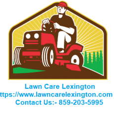 Landscape Companies Near Me