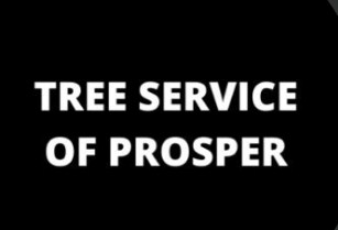 Tree Service of Prosper